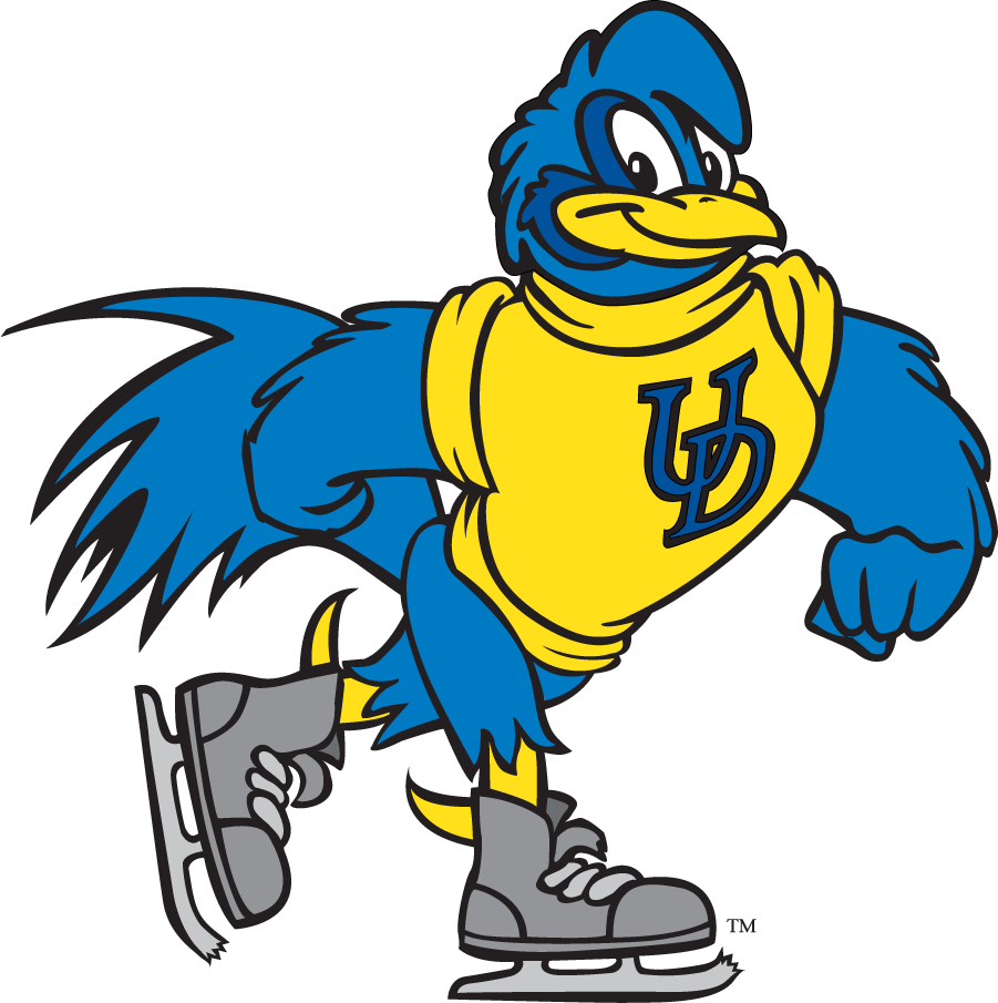 Delaware Blue Hens 1999-2009 Mascot Logo v14 t shirts iron on transfers